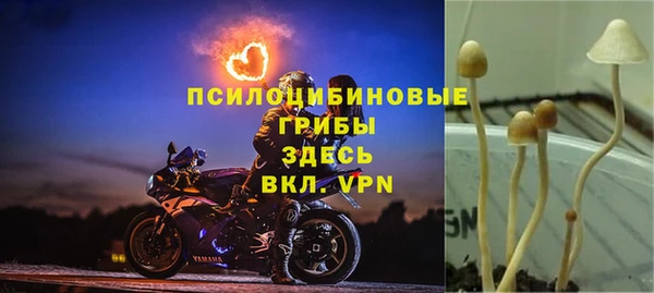 меф Балахна
